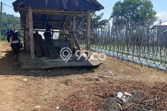 Dijual Tanah Lokasi Strategis di Bedugul, Luas 1800m2m², Lingkungan Asri Dijual Tanah Lokasi Strategis di Bedugul, Luas 1800m2m², Lingkungan Asri