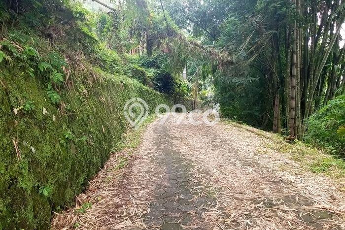 Tanah Kavling Dijual di Tabanan dengan Spesifikasi 5600m2 Tanah Kavling Dijual di Tabanan dengan Spesifikasi 5600m2