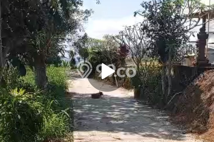 Dijual Tanah Lokasi Strategis di Bedugul, Luas 1800m2m², Lingkungan Asri Dijual Tanah Lokasi Strategis di Bedugul, Luas 1800m2m², Lingkungan Asri
