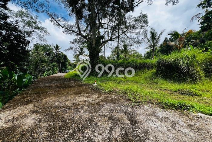 Dijual Tanah di Payangan Gianyar Luas 1000m2 SHM Dijual Tanah di Payangan Gianyar Luas 1000m2 SHM