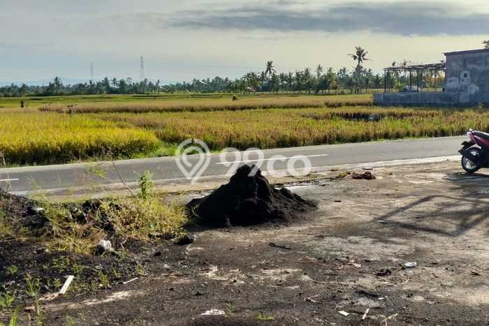 Untuk Dijual Tanah 550m2 di Kedungu, Tabanan Untuk Dijual Tanah 550m2 di Kedungu, Tabanan
