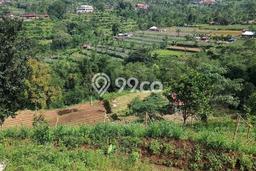 Untuk Dijual Tanah 22000m2 di Bedugul, Tabanan Untuk Dijual Tanah 22000m2 di Bedugul, Tabanan