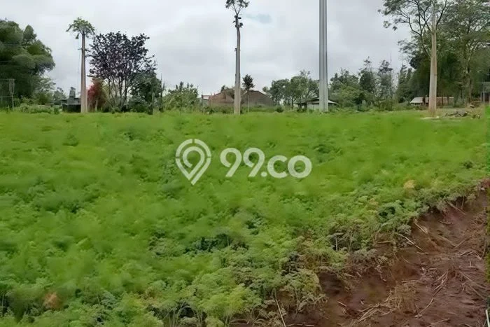 Jarang Ada! Tanah di Baturiti Punya Luas 5070m2 SHM Jarang Ada! Tanah di Baturiti Punya Luas 5070m2 SHM