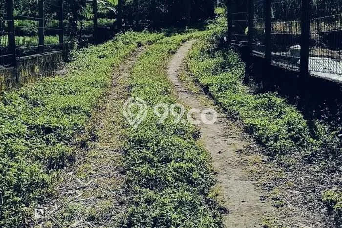 Untuk Dijual Tanah 22000m2 di Bedugul, Tabanan Untuk Dijual Tanah 22000m2 di Bedugul, Tabanan