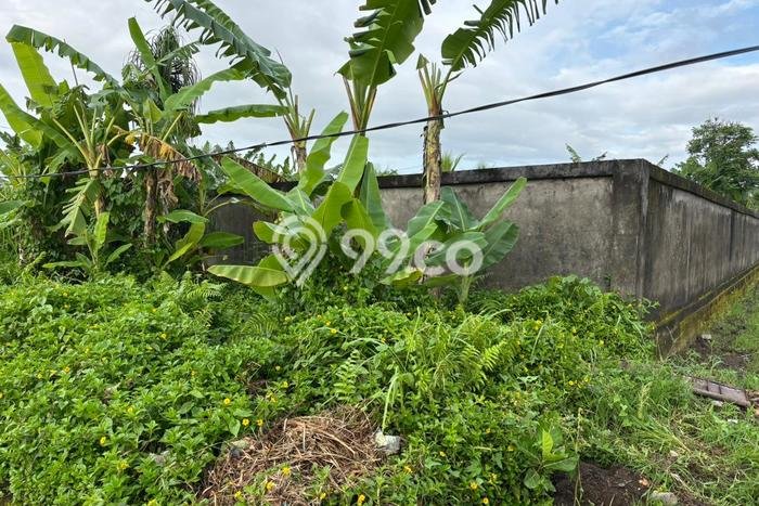 Tanah Dijual Lokasi Strategis di Gianyar dengan Luas 400m2 Tanah Dijual Lokasi Strategis di Gianyar dengan Luas 400m2
