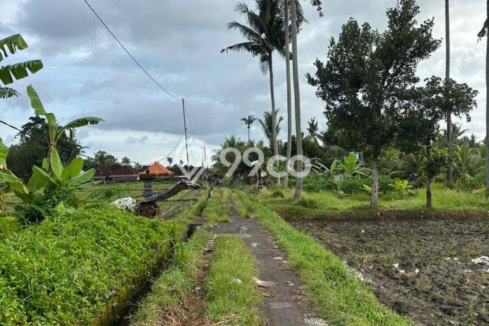 Tanah Dijual Lokasi Strategis di Gianyar dengan Luas 400m2 Tanah Dijual Lokasi Strategis di Gianyar dengan Luas 400m2