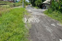 Tanah Kavling untuk Disewa di Mengwi Badung 900m2 Tanah Kavling untuk Disewa di Mengwi Badung 900m2