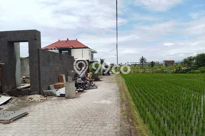 Tanah Dijual Area Strategis di Kedungu Tabanan 250m2 Tanah Dijual Area Strategis di Kedungu Tabanan 250m2