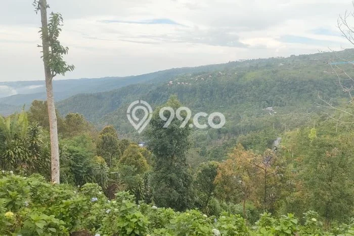 Tanah Lokasi Strategis Kawasan , Luas 3850m2m², Dekat ke Pusat Kota, Lingkungan Nyaman Tanah Lokasi Strategis Kawasan , Luas 3850m2m², Dekat ke Pusat Kota, Lingkungan Nyaman
