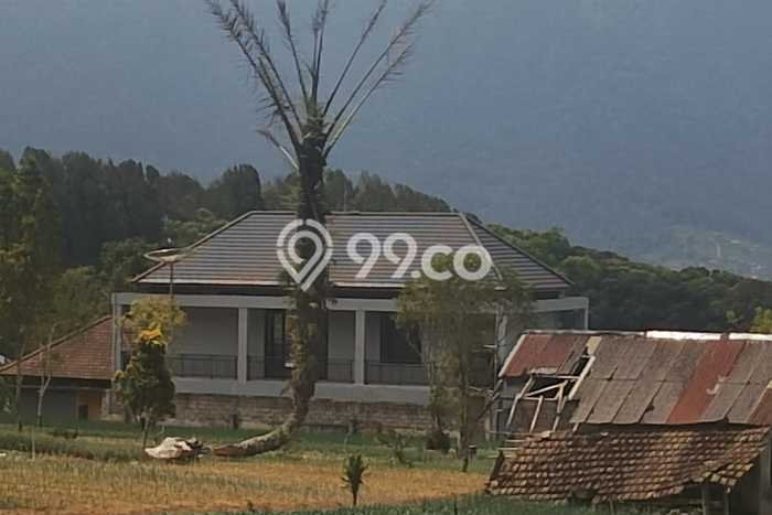 Tanah Dijual Lokasi Strategis di Tabanan dengan Luas 2500m2 Tanah Dijual Lokasi Strategis di Tabanan dengan Luas 2500m2