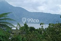Kavling Tanah untuk Dijual di Bedugul, Tabanan, Luas 660m2 Kavling Tanah untuk Dijual di Bedugul, Tabanan, Luas 660m2