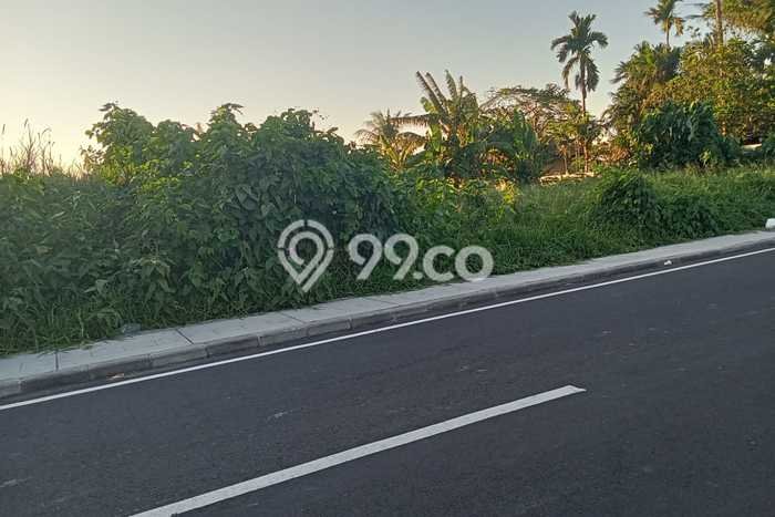 Tanah Kavling Dijual di Cemagi, Badung dengan Luas Tanah 825m2 Tanah Kavling Dijual di Cemagi, Badung dengan Luas Tanah 825m2