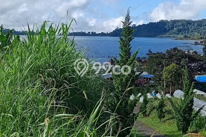 Tanah Kavling Dijual di Tabanan dengan Spesifikasi 980m2 Tanah Kavling Dijual di Tabanan dengan Spesifikasi 980m2