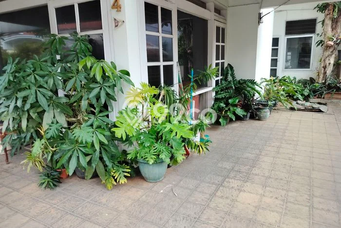 Jarang Ada! Rumah Kontrakan 6 Kamar Bagus Siap Huni Kayu Putih Jarang Ada! Rumah Kontrakan 6 Kamar Bagus Siap Huni Kayu Putih
