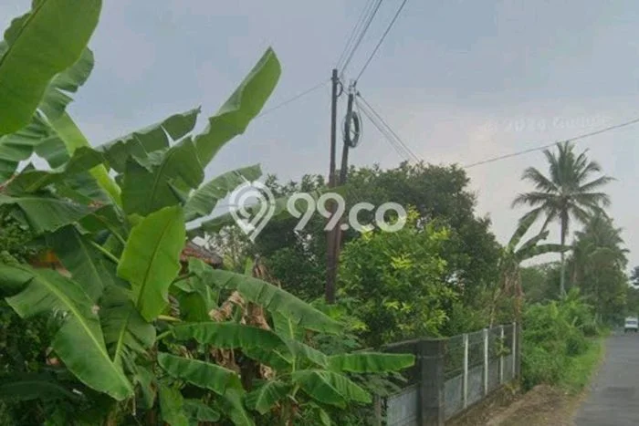 Tanah Premium di Turi, Luas 1826m², Cocok untuk Investasi Tanah Premium di Turi, Luas 1826m², Cocok untuk Investasi