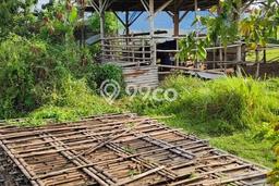 Lahan Kosong Dijual di Sleman dengan Area 2507m2 Lahan Kosong Dijual di Sleman dengan Area 2507m2