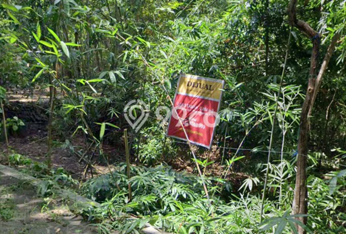 Kavling Tanah Dijual di Pajangan Bantul Spesifikasi 2864m2 Kavling Tanah Dijual di Pajangan Bantul Spesifikasi 2864m2