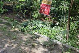 Kavling Tanah Dijual di Pajangan Bantul Spesifikasi 2864m2 Kavling Tanah Dijual di Pajangan Bantul Spesifikasi 2864m2