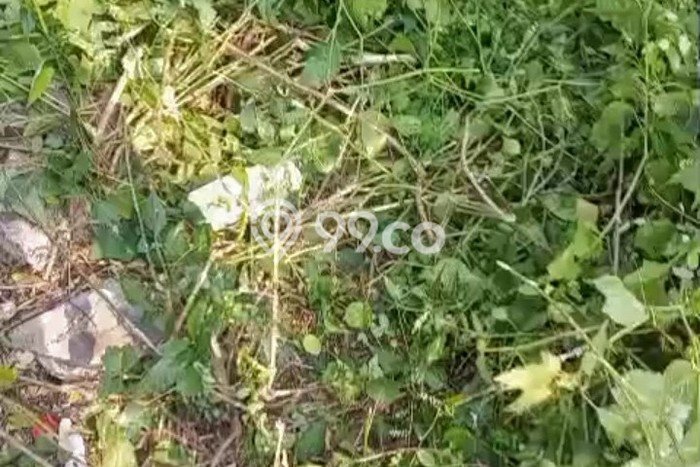 Paling Dicari! Lahan Kosong Disewakan di Tambora, Jakarta Barat Paling Dicari! Lahan Kosong Disewakan di Tambora, Jakarta Barat