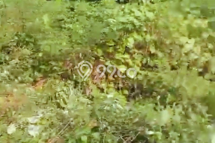 Paling Dicari! Lahan Kosong Disewakan di Tambora, Jakarta Barat Paling Dicari! Lahan Kosong Disewakan di Tambora, Jakarta Barat