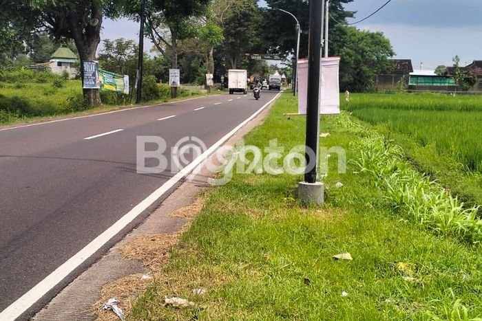 Jual Tanah Lokasi Strategis di Tasikmadu, Luas 4500m2m², Dekat Tasikmadu, Karanganyar, Karanganyar Jual Tanah Lokasi Strategis di Tasikmadu, Luas 4500m2m², Dekat Tasikmadu, Karanganyar, Karanganyar