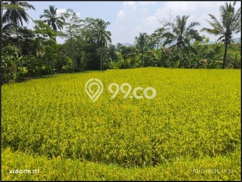 Lahan untuk Dijual di Cipongkor Bandung Barat Luas 1414m2 Lahan untuk Dijual di Cipongkor Bandung Barat Luas 1414m2
