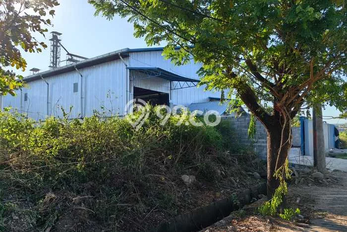Untuk Dijual! Gudang di Maros Makassar LT 1000m2 / LB 500m2 Kawasan Bisnis Untuk Dijual! Gudang di Maros Makassar LT 1000m2 / LB 500m2 Kawasan Bisnis