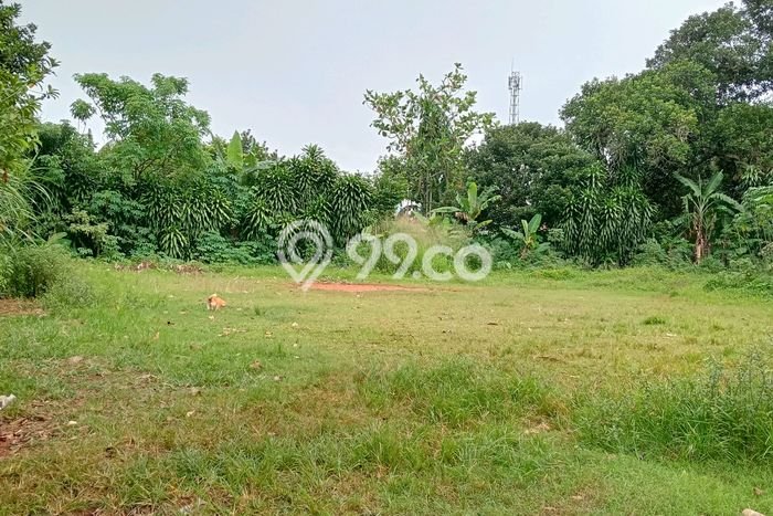 Tanah Dijual di Depok Seluas 2142m2 Strategis Tanah Dijual di Depok Seluas 2142m2 Strategis