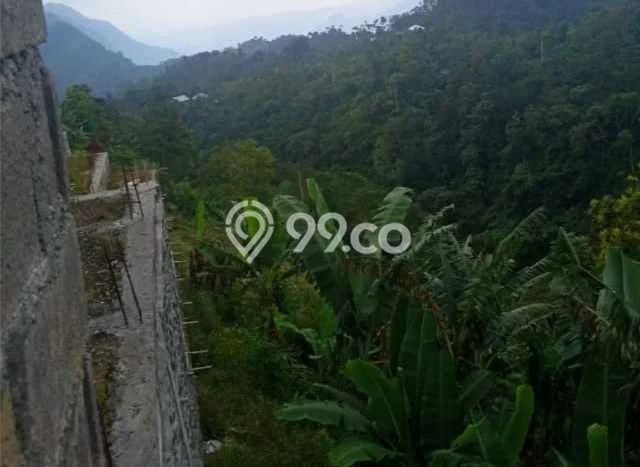 Lahan Investasi Lokasi Buleleng Buleleng SHM Lahan Investasi Lokasi Buleleng Buleleng SHM