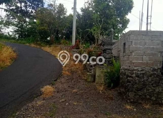 Lahan Investasi Lokasi Buleleng Buleleng SHM Lahan Investasi Lokasi Buleleng Buleleng SHM