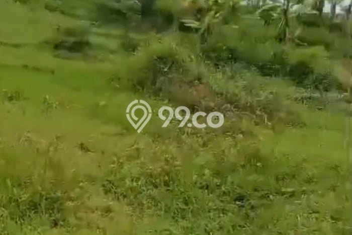 Tanah untuk Dijual Lokasi Limbangan, Kendal Luas 7700m2 - Tanah untuk Dijual Lokasi Limbangan, Kendal Luas 7700m2 -