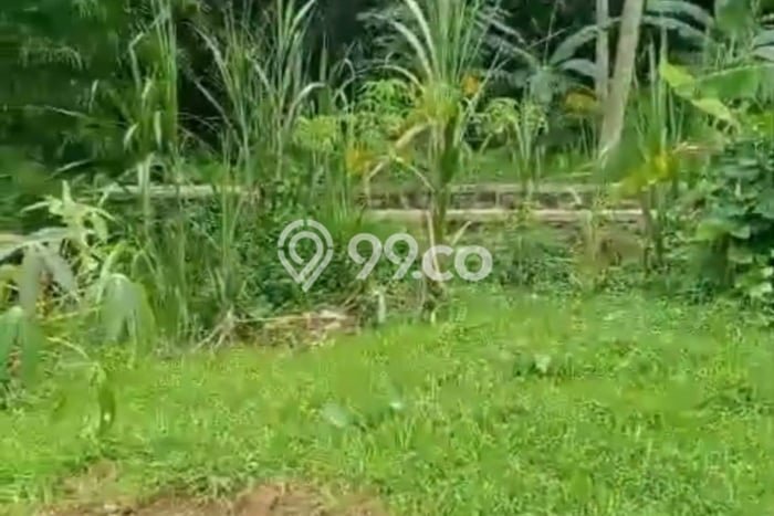 Tanah untuk Dijual Lokasi Limbangan, Kendal Luas 7700m2 - Tanah untuk Dijual Lokasi Limbangan, Kendal Luas 7700m2 -
