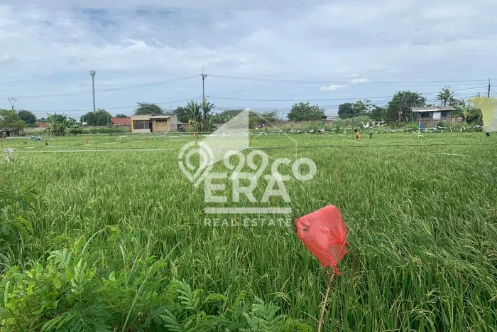 Lahan Kosong Dijual di Babelan, Bekasi, Luas 11700m2 Area Strategis Lahan Kosong Dijual di Babelan, Bekasi, Luas 11700m2 Area Strategis