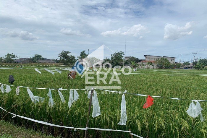 Lahan Kosong Dijual di Babelan, Bekasi, Luas 11700m2 Area Strategis Lahan Kosong Dijual di Babelan, Bekasi, Luas 11700m2 Area Strategis
