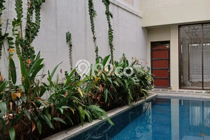 Sewa Rumah Murah di Kemang Jakarta Selatan Punya 3 Kamar Tidur Sewa Rumah Murah di Kemang Jakarta Selatan Punya 3 Kamar Tidur