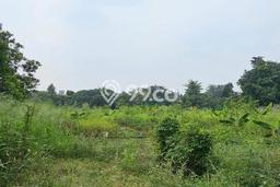 Tanah Kavling Dijual di Tangerang Selatan dengan Spesifikasi 10m2 Tanah Kavling Dijual di Tangerang Selatan dengan Spesifikasi 10m2