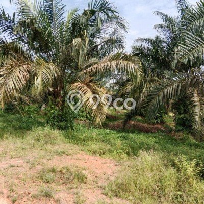 Komersial Strategis Kawasan Jejawi, Luas 100m², Posisi Jalan Utama Komersial Strategis Kawasan Jejawi, Luas 100m², Posisi Jalan Utama
