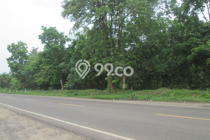 Lahan Kosong Dijual di Lembak, Muara Enim, Luas 28229m2 Area Strategis Lahan Kosong Dijual di Lembak, Muara Enim, Luas 28229m2 Area Strategis