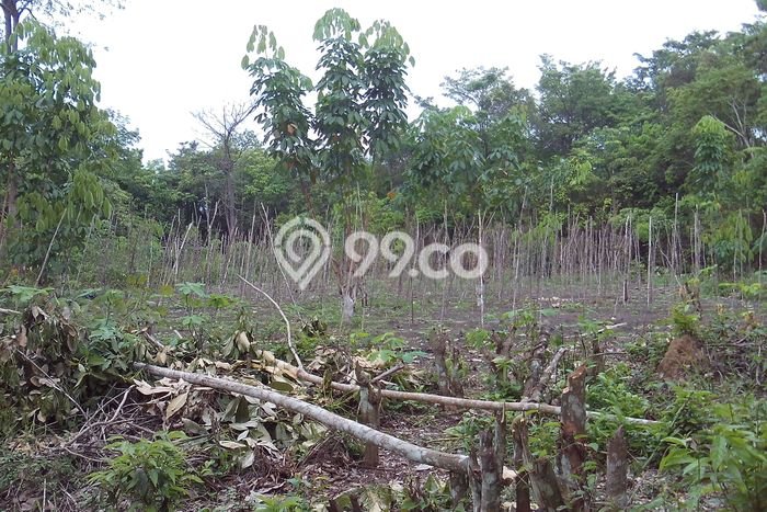Lahan Kosong Dijual di Lembak, Muara Enim, Luas 28229m2 Area Strategis Lahan Kosong Dijual di Lembak, Muara Enim, Luas 28229m2 Area Strategis