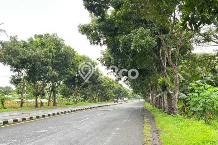 Kavling Tanah di Purwodadi Dijual Luas 17m2 Legalitas SHM Kavling Tanah di Purwodadi Dijual Luas 17m2 Legalitas SHM