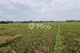 Tanah Komersial Dijual di Karawang Barat Karawang 19555m2 Tanah Komersial Dijual di Karawang Barat Karawang 19555m2
