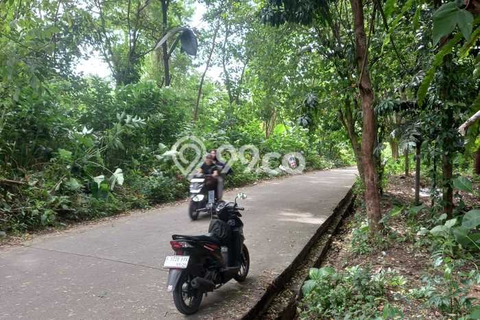 Tanah Kavling Dijual di Bogor dengan Spesifikasi 5578m2 Tanah Kavling Dijual di Bogor dengan Spesifikasi 5578m2