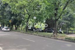 Dijual Tanah Lokasi Pajajaran, Bogor Seluas 1438m2 Dijual Tanah Lokasi Pajajaran, Bogor Seluas 1438m2