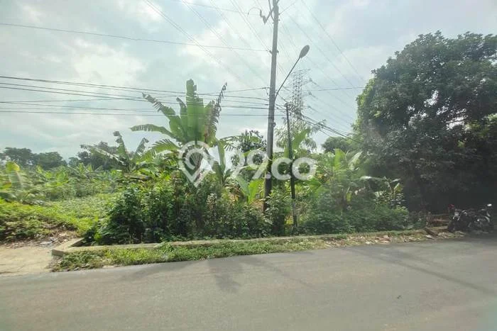 Tanah Dijual Lokasi Sukaraja, Bogor Luas 1100m2 Legalitas Aman Tanah Dijual Lokasi Sukaraja, Bogor Luas 1100m2 Legalitas Aman