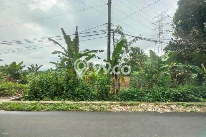 Tanah Dijual Lokasi Sukaraja, Bogor Luas 1100m2 Legalitas Aman Tanah Dijual Lokasi Sukaraja, Bogor Luas 1100m2 Legalitas Aman