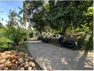 Dijual Tanah Lokasi Mendoyo Dangintukad, Jembrana Seluas 9475m2 Dijual Tanah Lokasi Mendoyo Dangintukad, Jembrana Seluas 9475m2