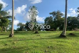 Tanah Kavling untuk Dijual di Selemadeg Tabanan 11220m2 Tanah Kavling untuk Dijual di Selemadeg Tabanan 11220m2