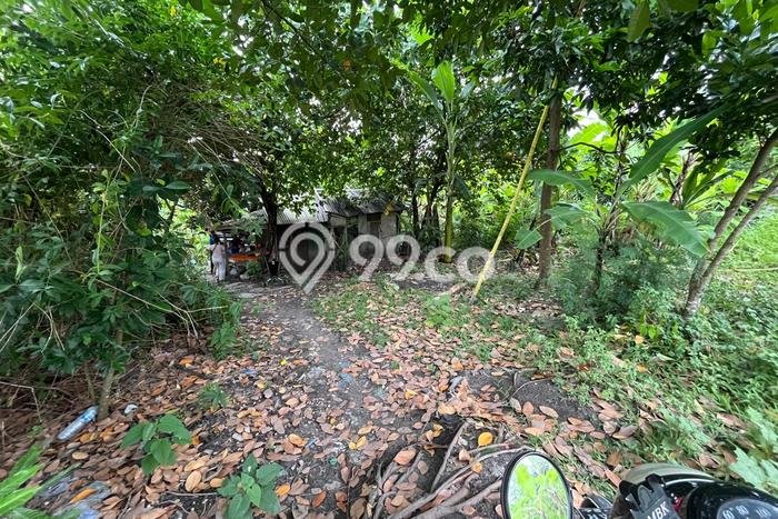 Tanah Siap Bangun Dijual di Badung Punya Luas 500m2 Tanah Siap Bangun Dijual di Badung Punya Luas 500m2