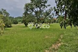 Tanah di Tigaraksa, Tangerang Luas 39000m2 Dijual Segera Tanah di Tigaraksa, Tangerang Luas 39000m2 Dijual Segera
