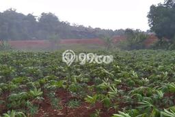 Tanah Dijual Area Strategis di Bojong Sari Depok 300m2 Tanah Dijual Area Strategis di Bojong Sari Depok 300m2